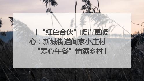 “红色合伙”暖胃更暖心：新城街道阎家小庄村“爱心午餐”情满乡村